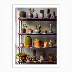 Cactus Shelf plant lover Art Print