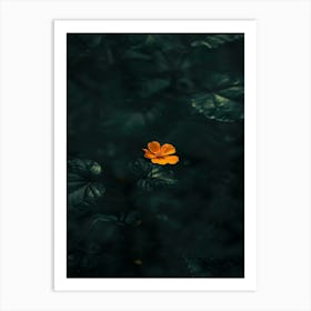 Single Flower In Water 3 Art Print