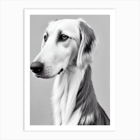 Saluki B&W Pencil Dog Art Print