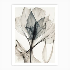 Black White Image Flower With Wh1 Art Print