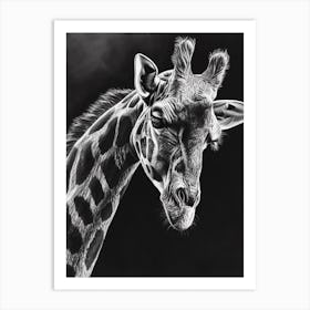 Black & Grey Pencil Drawing Giraffe Drawing Art Print