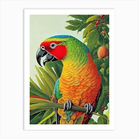 Parrot 2 Haeckel Style Vintage Illustration Bird Art Print