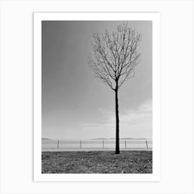 Lone Tree black and white Art Print