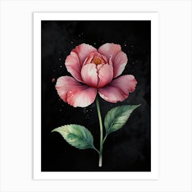 Peony Flower Art Print