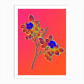 Neon Spiny Leaved Rose of Dematra Botanical in Hot Pink and Electric Blue Art Print