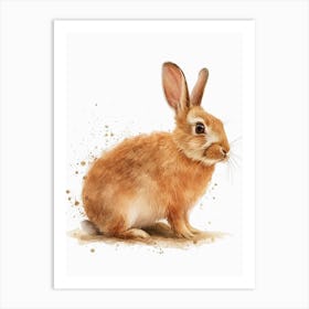 Himalayan Rabbit Nursery Illustration 2 Art Print