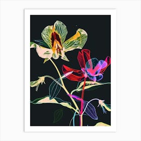 Neon Flowers On Black Sweet Pea 1 Art Print