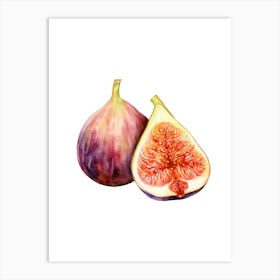 Figs draw 1 Art Print