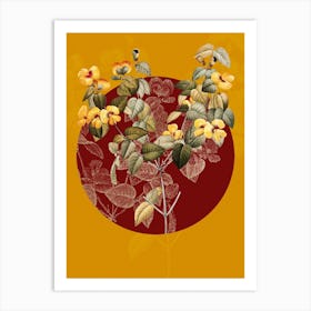 Vintage Botanical Platilobium on Circle Red on Yellow n.0263 Art Print