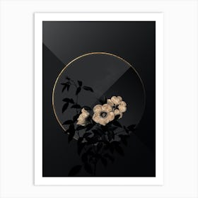 Shadowy Vintage White Rose of Snow Botanical in Black and Gold Art Print