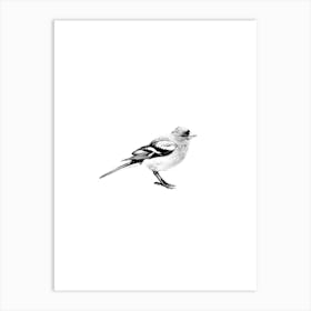 Bird Black And White Art Print Art Print