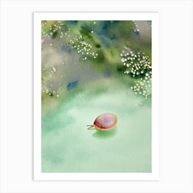 Sea Snail II Storybook Watercolour Art Print