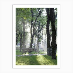 Sunny Park, Bench, Trees, Oil Painting Art Print