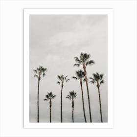 Moody Beach Palms Art Print