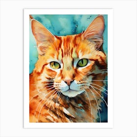 Orange Tabby Cat 6 Art Print