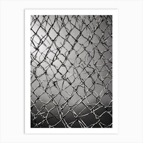 Barbed Wire Fence Art Print