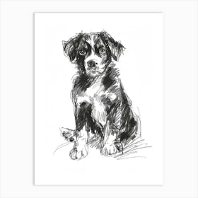 Entlebucher Mountain Dog Line Sketch 4 Art Print