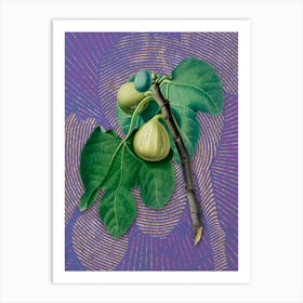Vintage Fig Branch Botanical Illustration on Veri Peri n.0669 Art Print