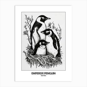 Penguin Nesting Poster 4 Art Print