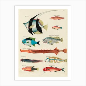 Colourful And Surreal Illustrations Of Fishes Found In Moluccas (Indonesia) And The East Indies, Louis Renard(4) Art Print