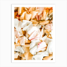 Flower Petals Art Print