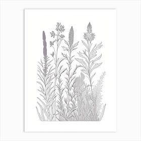 Lavender Herb William Morris Inspired Line Drawing 1 Art Print
