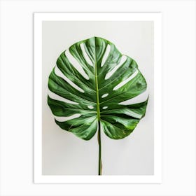 Monstera Leaf 11 Art Print