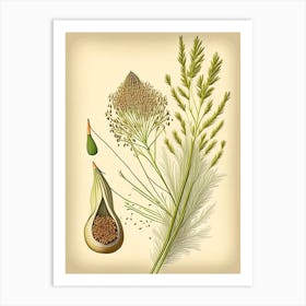 Fennel Seeds Spices And Herbs Retro Drawing 1 Art Print