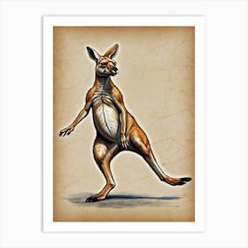 Kangaroo 4 Art Print