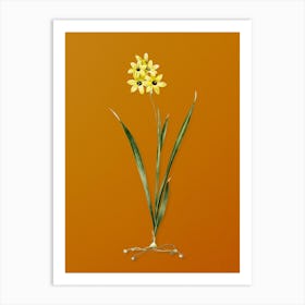Vintage Ixia Fusco Citrina Botanical on Sunset Orange n.0250 Art Print