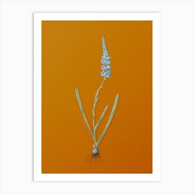 Vintage Ixia Cepacea Botanical on Sunset Orange n.0420 Art Print