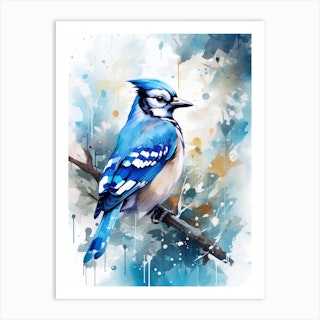 Blue Jay Bird print by Ashvin Harrison