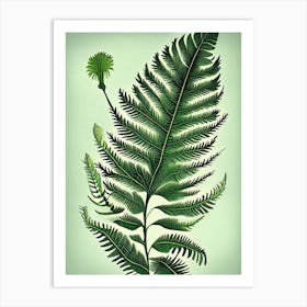 Tassel Fern 3 Vintage Botanical Poster Art Print