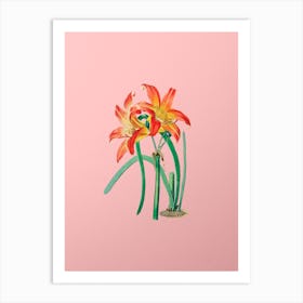 Vintage Meadow Habranthus Flower Botanical on Soft Pink n.0962 Art Print