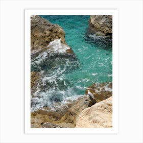 Seagull on a rock and turquoise sea water Art Print