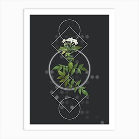 Vintage Jasmin Officinale Flower Botanical with Geometric Line Motif and Dot Pattern Art Print