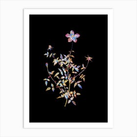 Stained Glass Single Dwarf Chinese Rose Mosaic Botanical Illustration on Black n.0326 Art Print