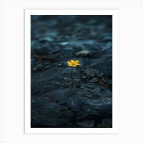 Single Yellow Flower In Water Poster