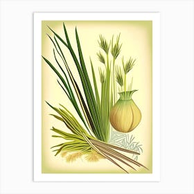 Lemongrass Spices And Herbs Retro Drawing 1 Art Print