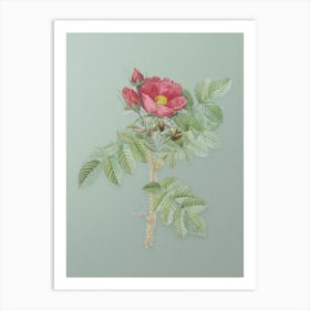 Vintage Kamtschatka Rose Botanical Art on Mint Green n.0977 Art Print