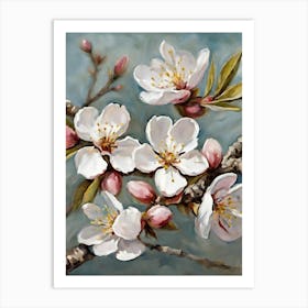 Blossoming Cherry Blossoms Art Print