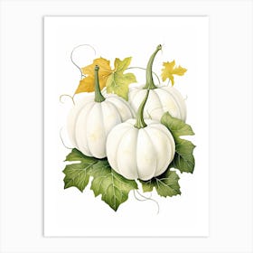 White Pumpkin Watercolour Illustration 3 Art Print