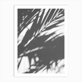 Shadows Of Palm Leaves Art Print