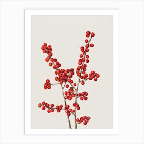 Vintage Winter Berries Art Print