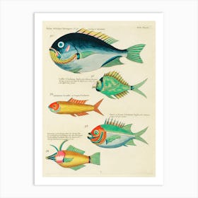 Colourful And Surreal Illustrations of fishes found in Moluccas (Indonesia) and the East Indies, Louis Renard(10).jpg Art Print