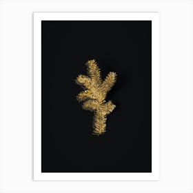 Vintage English Yew Branch Botanical in Gold on Black n.0276 Art Print