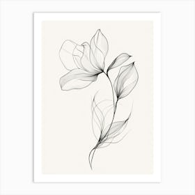 Magnolia Flower Art Print