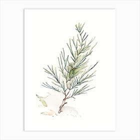 Juniper Herb Minimalist Watercolour 3 Art Print
