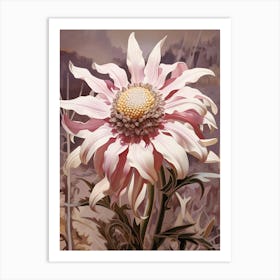 Floral Illustration Edelweiss 1 Art Print