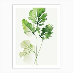 Cilantro Leaf Minimalist Watercolour 2 Art Print